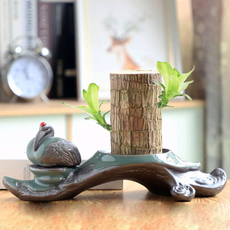 Brazilian Lucky Wood, Mini Home Plant Decorations (Pack of 2)