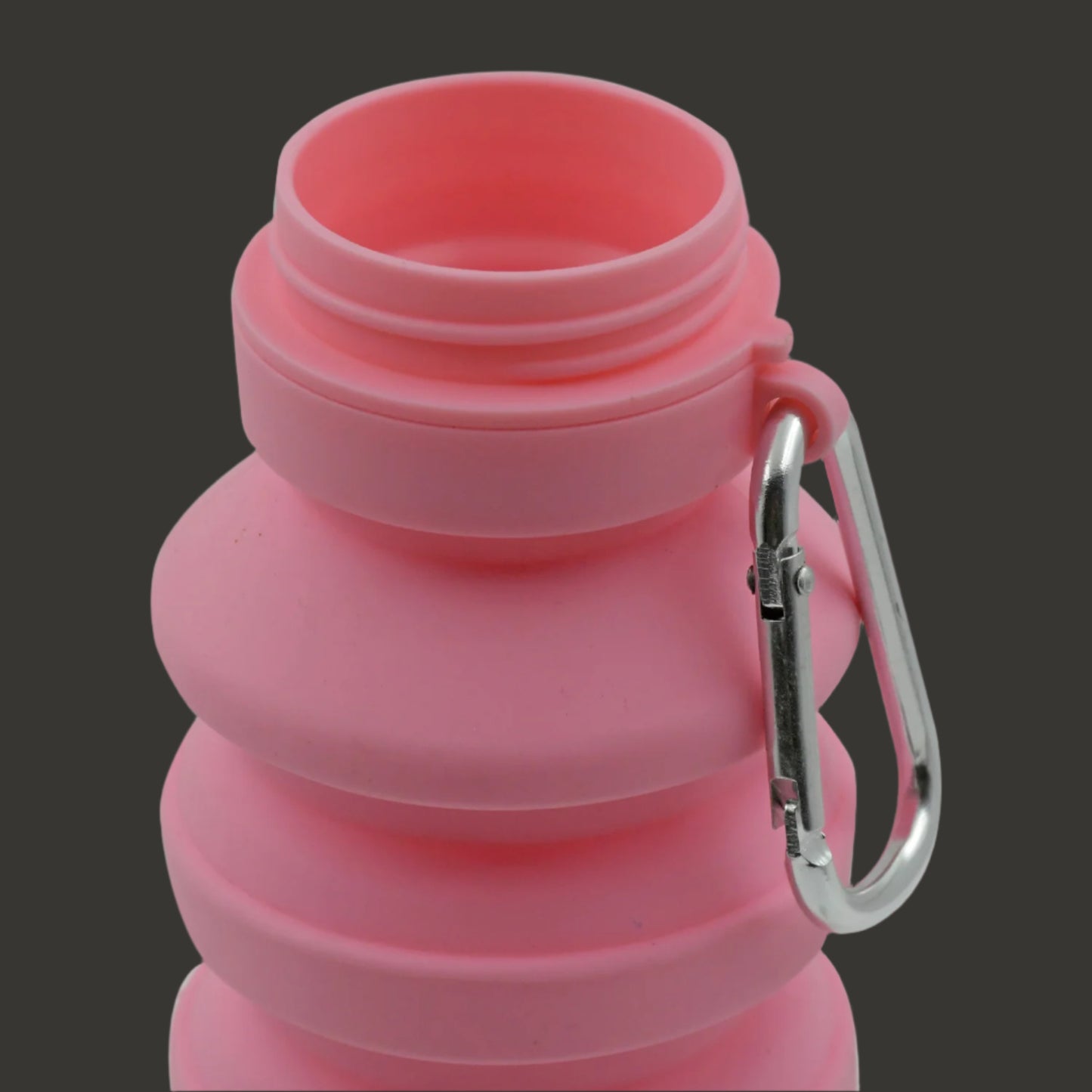 Foldable Water Bottle